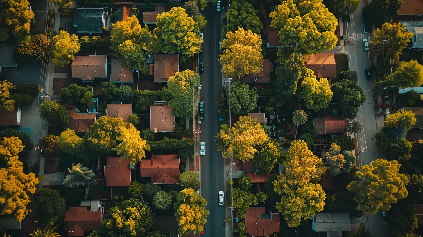 How to Settle into a New Neighborhood After You Move