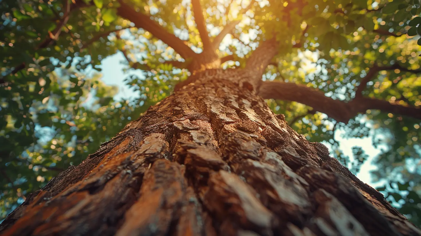 How Tree Damage Affects Your Homeowners Insurance Coverage