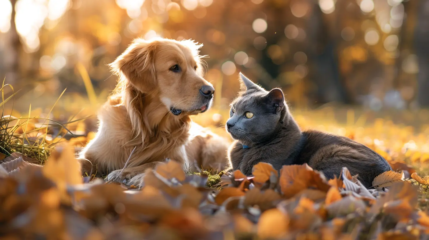 New Listings for Pet-Friendly Homes with Spacious Yards