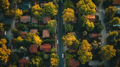 How to Settle into a New Neighborhood After You Move