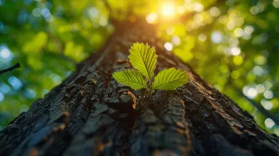 How Tree Damage Affects Your Homeowners Insurance Coverage