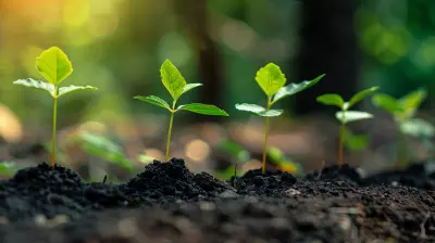 Land Development: How to Turn Raw Land into a Profitable Investment