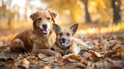 New Listings for Pet-Friendly Homes with Spacious Yards