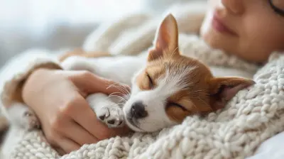 Pet-Friendly Tiny Homes: How to Make It Work