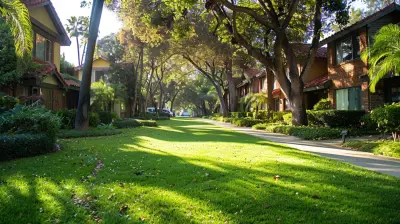 Try Before You Buy: New Lease-to-Own Property Listings