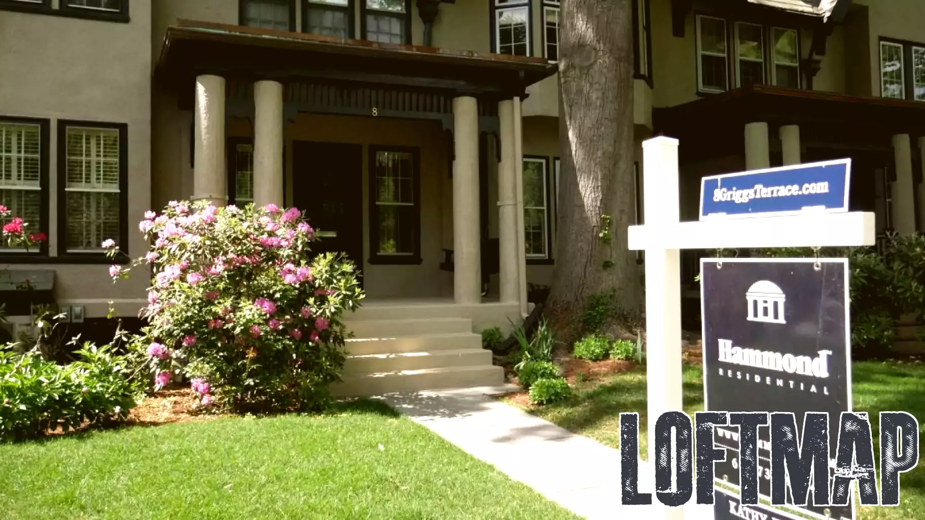 Brookline's Residential Real Estate Market Sees Modest Activity in Early November