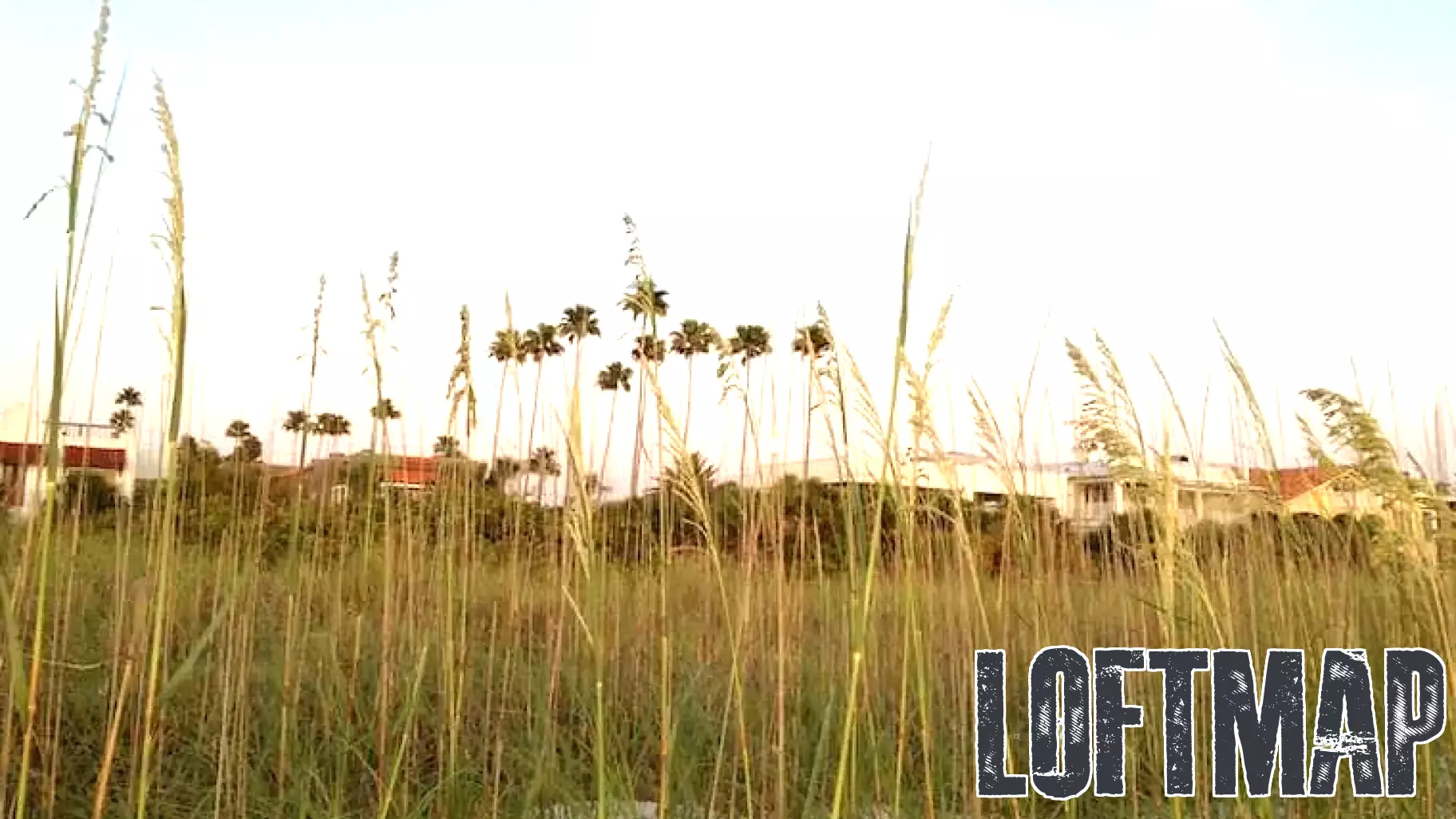 Pinellas Beaches Real Estate Update: Sales from August 11-15