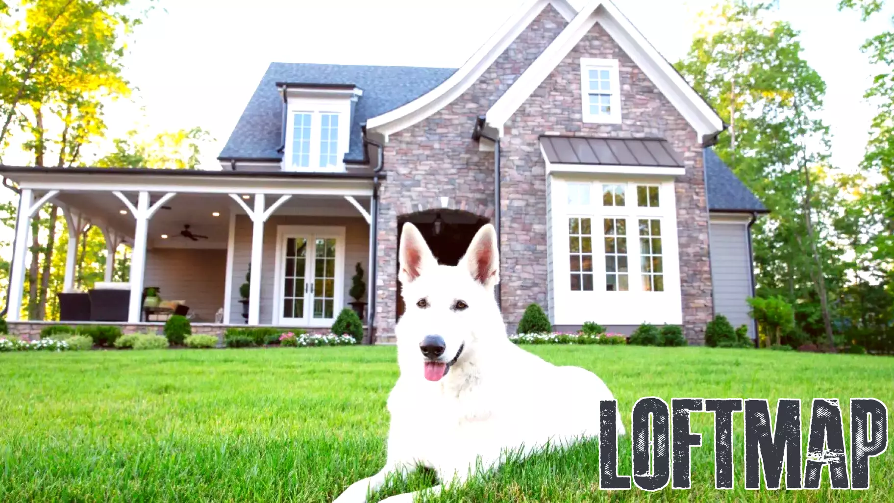 The Unexpected Financial Burden of Pet Ownership on Home Buying