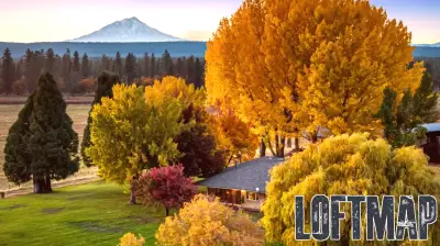 Exclusive | Former eBay CEO Meg Whitman Lists California Ranch for $18.5 Million