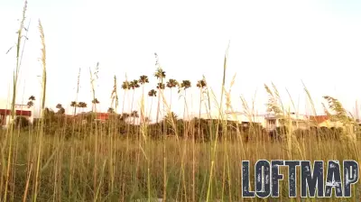 Pinellas Beaches Real Estate August 14-21